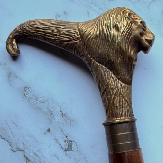 Brass walking cane handle with a detailed lion's face at a profile