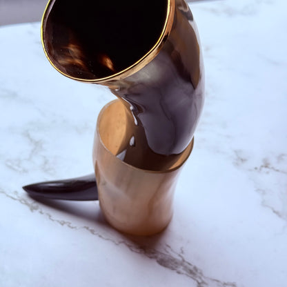 Demonstrative photo of the horn sitting in the matching stand.