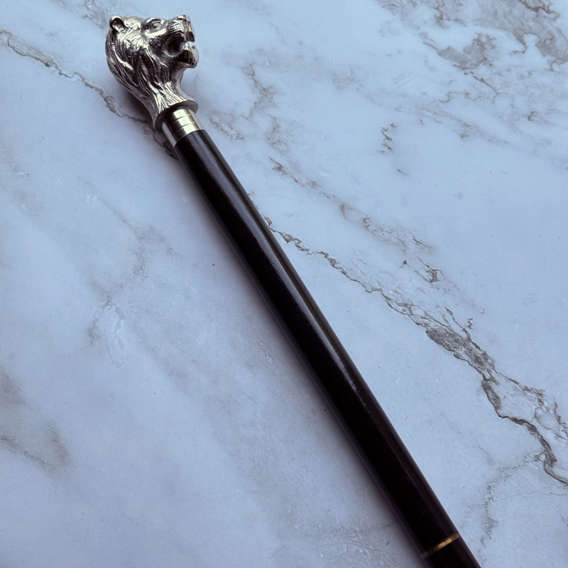 Cane with lion head handle 