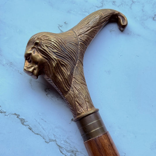 Brass walking cane handle with a detailed lion's face at a profile